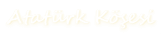 Atatürk Köşesi