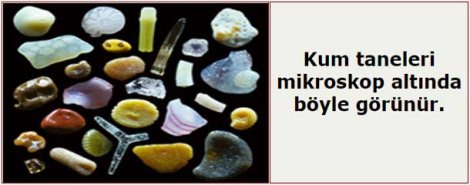 kum-tanesi